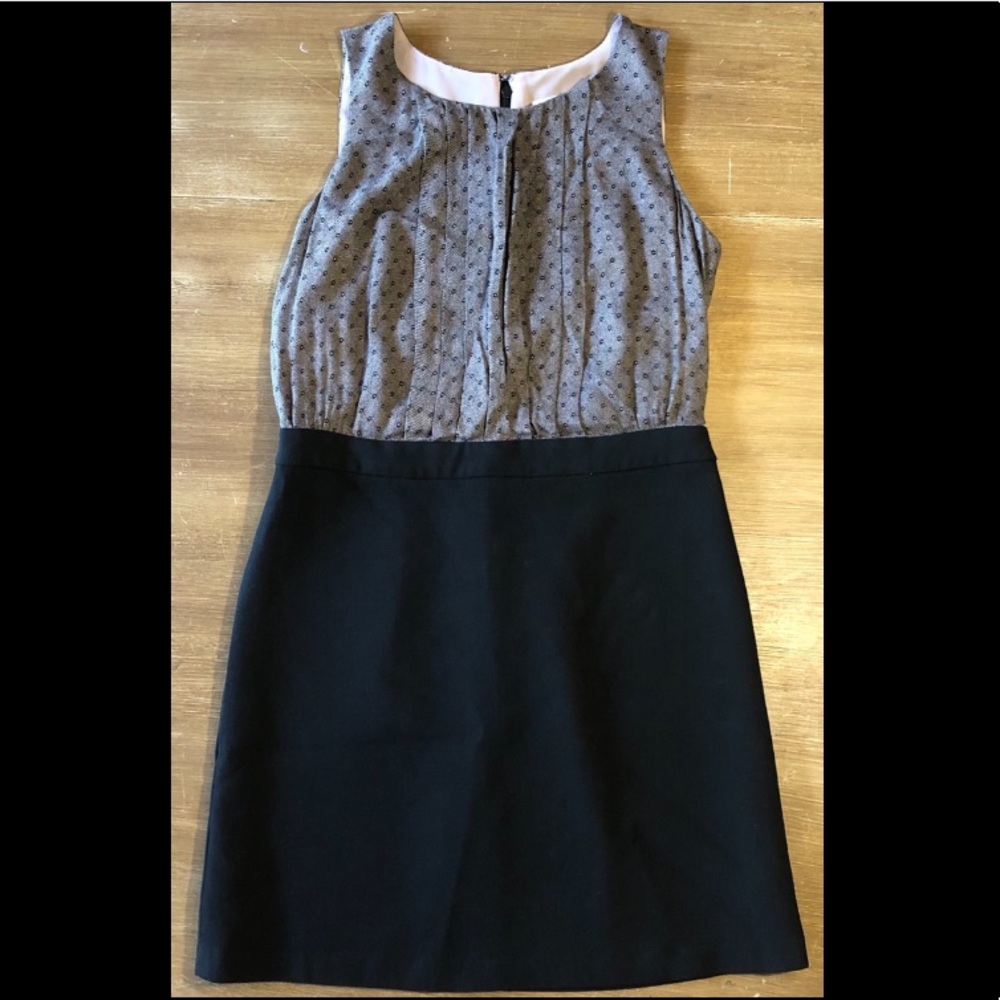 Loft Pleated Bodice Dress
